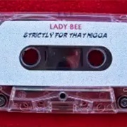 Lady Bee - Strictly for That Nigga
