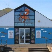 Lake District Coast Aquarium