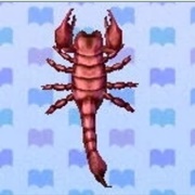 Scorpion
