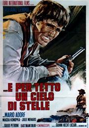 And for a Roof a Sky Full of Stars