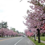 Cherry Hill, New Jersey