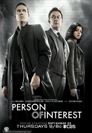 Person of Interest (2011)