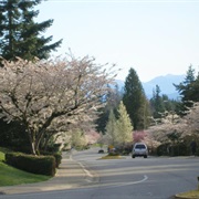 Sammamish, Washington