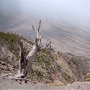 Saint Anthony Parish (Montserrat, UK)