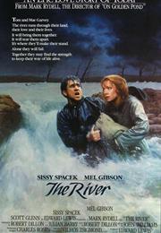 The River