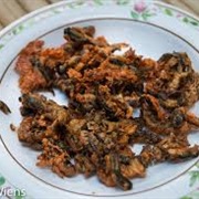 Fried Tadpoles