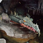 La Taniere Du Dragon