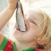 Dutch Herring
