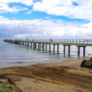 Cornwallis Beach Walk - Very Easy (1 Hour)