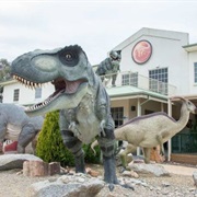 National Dinosaur Museum