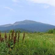 Bieszczady National Park, Poland