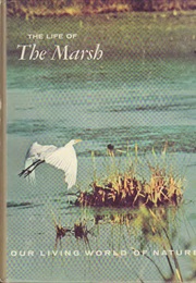 The Life of the Marsh: The North American Wetlands (William A. Niering)