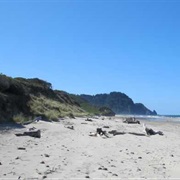 Carl G. Washburne Memorial State Park, Oregon