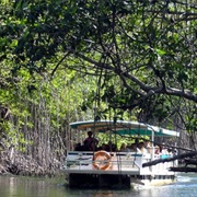 Great Morass, Jamaica