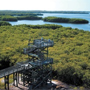 Weedon Island Preserve, Saint Petersburg