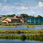 WWT London Wetland Centre