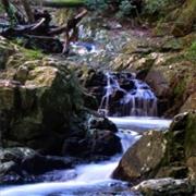 Bellthorpe National Park (QLD)