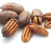 Pecan
