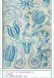The Maze of Transparencies (Karen An-Hwei Lee)