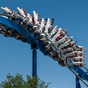 Great White (Seaworld San Antonio, USA)