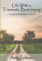 Life With a Traumatic Brain Injury (Amy Zellmer)