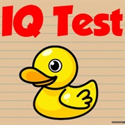 IQ Test