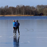 Have You Ever Gone Ice Skating?