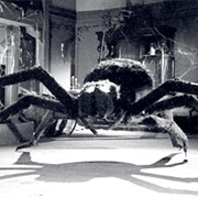 Tarantula