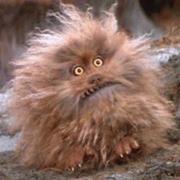 Fizzgig