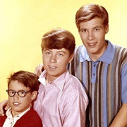 The Douglas Brothers - My Three Sons