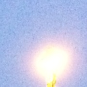 Experimented With Other Drugs