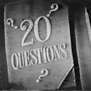 Twenty Questions