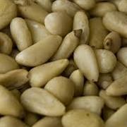 Pine Nut