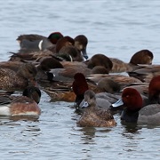 Kirwin National Wildlife Refuge