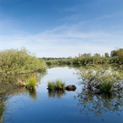 De Maasduinen National Park