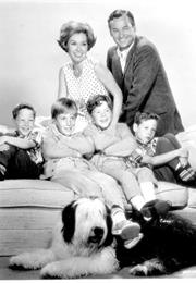 Please Don't Eat the Daisies (TV Series)