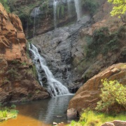 Roodepoort Botanical Garden (OR Tambo)