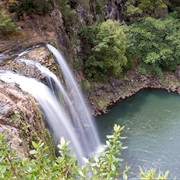 Herekino Forest Track