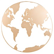 A Book Written by an Author From Asia, Africa or South America