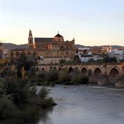 Córdoba