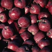 Red Delicious