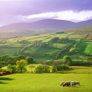 The Sperrin Mountains