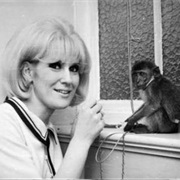 Dusty Springfield, 59, Cancer