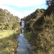 Massey Cosseys Track - Medium (3 Hours)