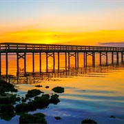 Safety Harbor, Florida