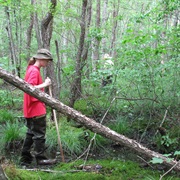 Leave a Trail for Rescuers If Lost in the Wilderness