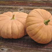 Long Island Cheese Pumpkin