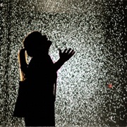 Visit the Rain Room Exhibition at the Barbican Centre