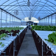 Is Life on Mars Possible?