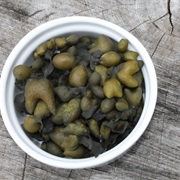 Bladder Wrack (Fucus Vesiculosus)